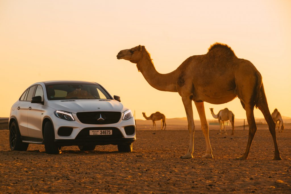 Desert Safari Dubai