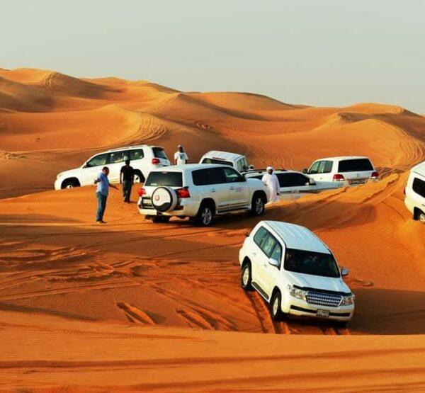 Desert Safari Tours